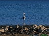 Lagocampotosto 06-P1090181+.jpg